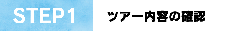 STEP1ツアー内容の確認